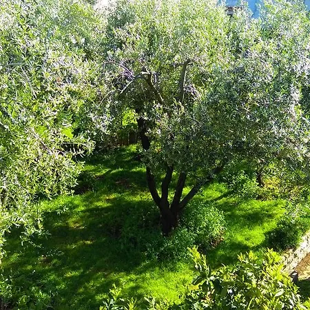 Blazenka Apartamento